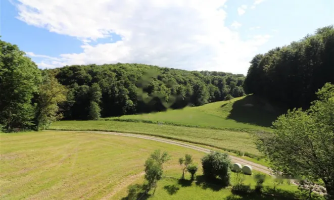 Недвижимость Усадьба, ферма Поченик.: 25