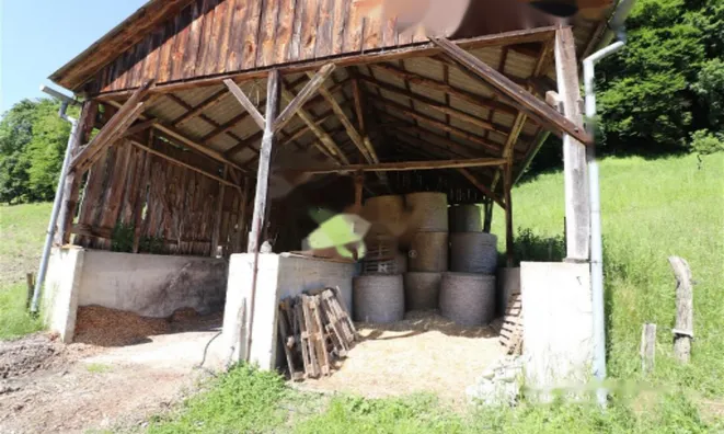 Недвижимость Усадьба, ферма Поченик.: 29