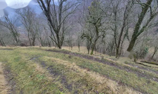 Недвижимость Участок, ферма Ново Кук: 5