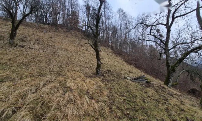 Недвижимость Участок, ферма Ново Кук: 7