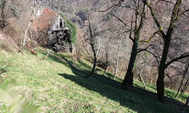 Недвижимость Участок, ферма Ново Кук: 11