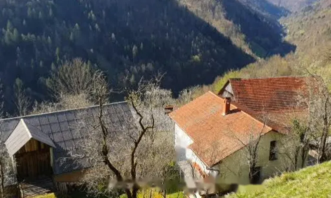 Недвижимость Участок, ферма Ново Кук: 12