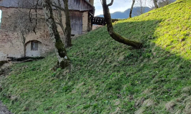 Недвижимость Участок, ферма Ново Кук: 13