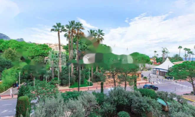 Недвижимость Apartment Monaco, Fontvieille: 17