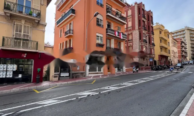 Недвижимость Apartment Monaco, Jardin Exotique: 10