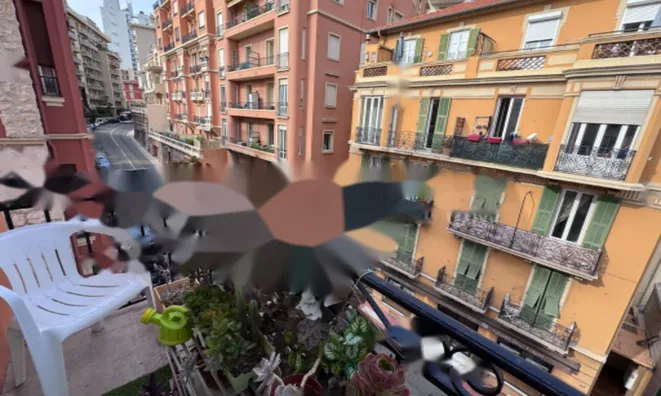 Недвижимость Apartment Monaco, Jardin Exotique: 12