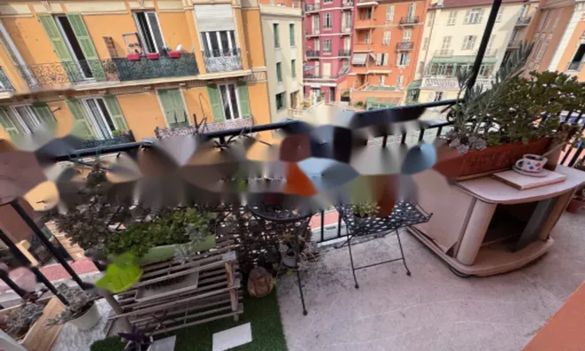 Недвижимость Apartment Monaco, Jardin Exotique: 13