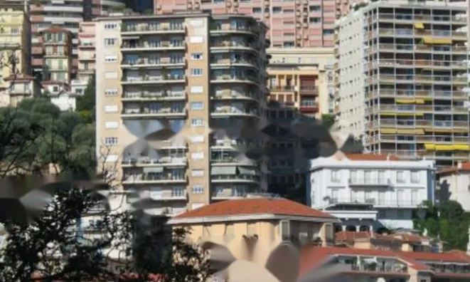 Недвижимость Apartment Monaco, Jardin Exotique: 2