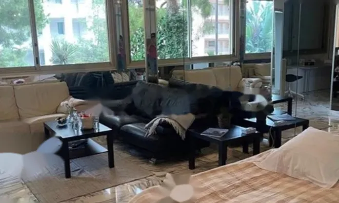 Недвижимость Apartment Monaco, Larvotto: 4