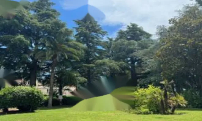 Недвижимость Apartment Cannes: 12