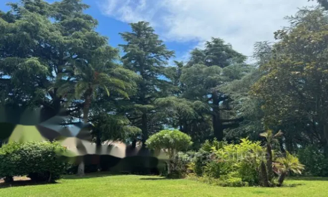 Недвижимость Apartment Cannes Croix Gardes: 13