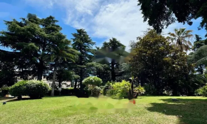 Недвижимость Apartment Cannes: 7