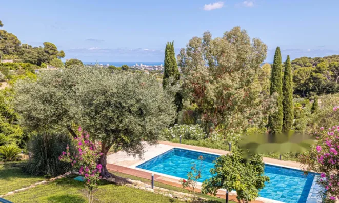 Недвижимость Maison Cannes: 3