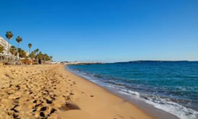 Недвижимость Apartment Cannes: 24