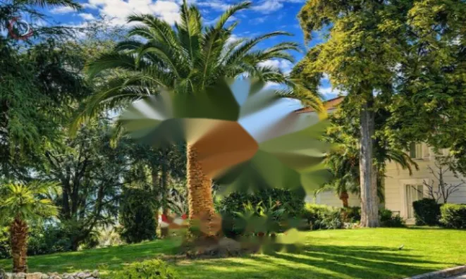 Недвижимость Apartment Cannes: 10