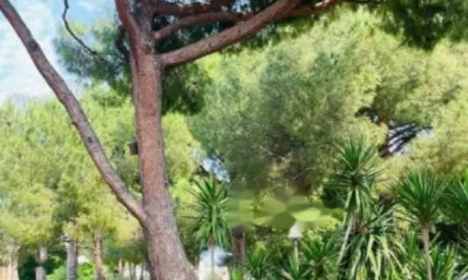 Недвижимость Duplex Cannes Croix des Gardes: 6