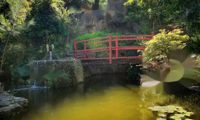 Недвижимость Apartment Cannes Gardes: 22