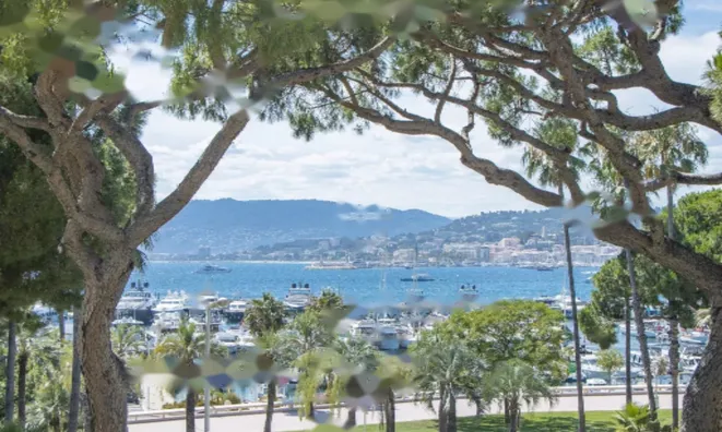 Недвижимость Apartment Pointe Croisette: 2