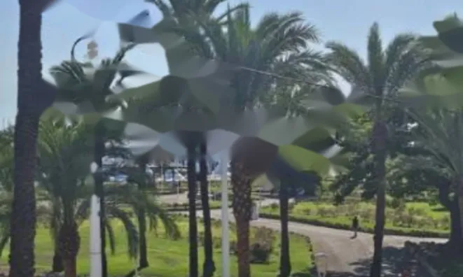 Недвижимость Apartment Pointe Croisette: 11