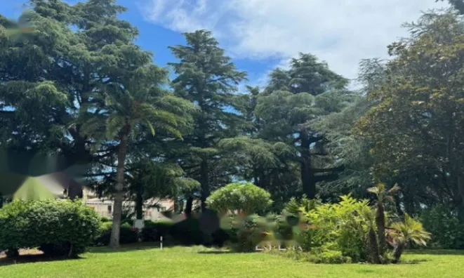 Недвижимость Apartment Cannes: 13