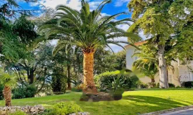 Недвижимость Apartment Cannes: 7