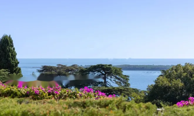 Недвижимость Apartment Cannes California: 1