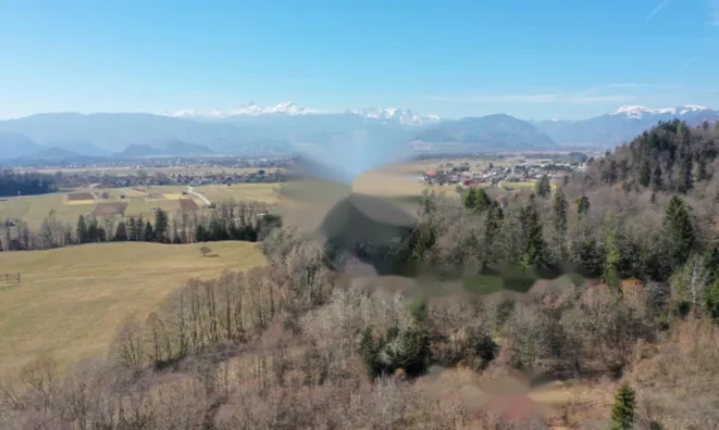 Недвижимость Участок в Дворской Веси на окраине деревни: 3