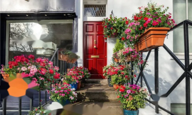 Недвижимость Kings Road: 6