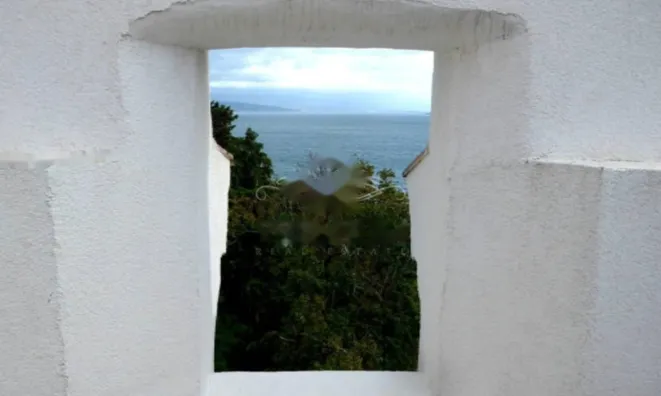 Недвижимость Четырехкомнатная квартира Центр: 14