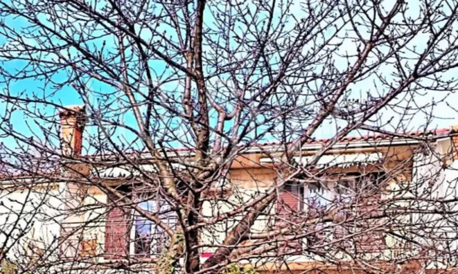 Недвижимость Трехкомнатная квартира Ичичи: 16