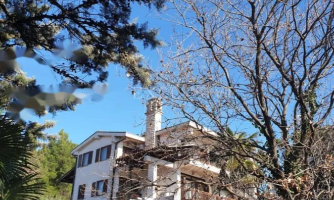 Недвижимость Семейный дом Волоско Опатия: 1