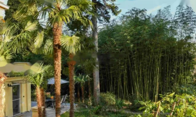 Недвижимость Двухкомнатная квартира Центр: 4