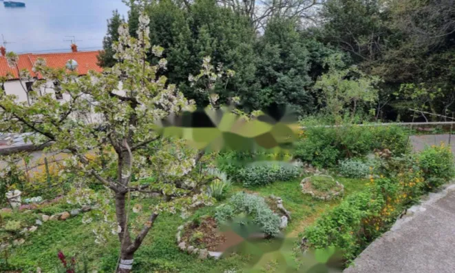 Недвижимость Трехкомнатная квартира в центре: 13