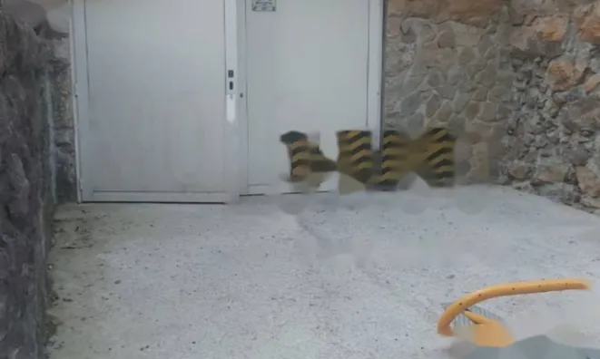 Недвижимость Трехкомнатная квартира в Центре: 12