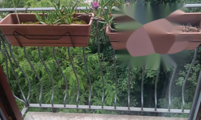 Недвижимость Четырехкомнатная квартира Ичичи: 15