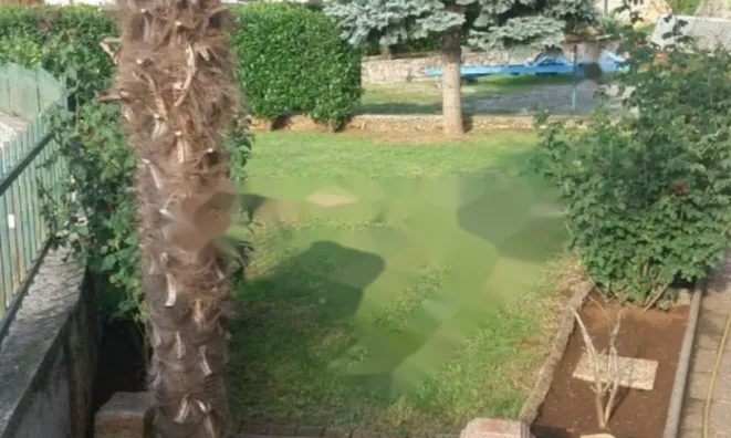 Недвижимость Трёхкомнатная квартира Центр: 10