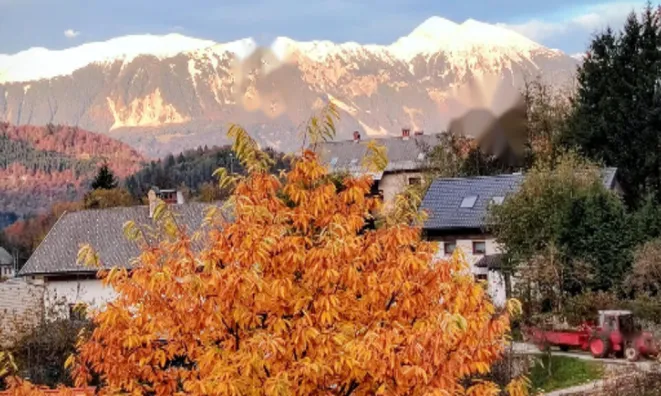 Недвижимость Дом в Верхнем Горе: 4