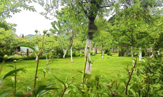 Недвижимость Дом в Верхнем Горе: 10