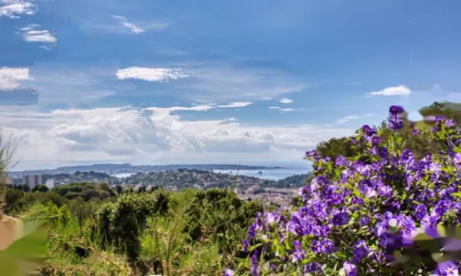 Недвижимость Maison Cannes: 22