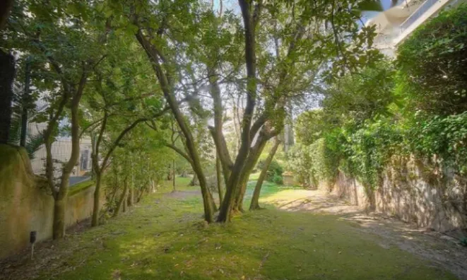 Недвижимость Apartment Cannes California: 25