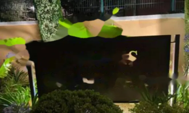 Недвижимость Apartment Cannes Croix Gardes: 6