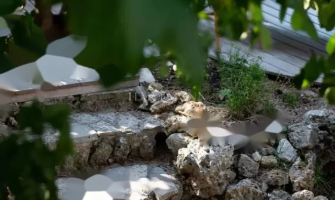 Недвижимость Maison Cannes: 28