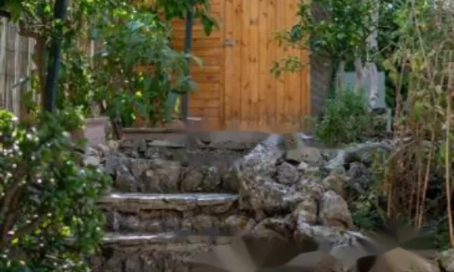 Недвижимость Maison Cannes: 29