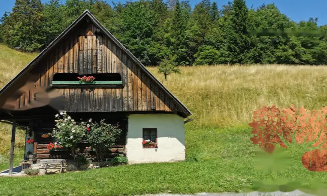 Недвижимость Усадьба Ново Копривник в Божине на Солнечной стороне Альп.: 2