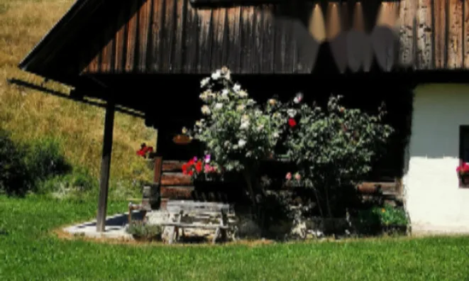 Недвижимость Усадьба Ново Копривник в Божине на Солнечной стороне Альп.: 4