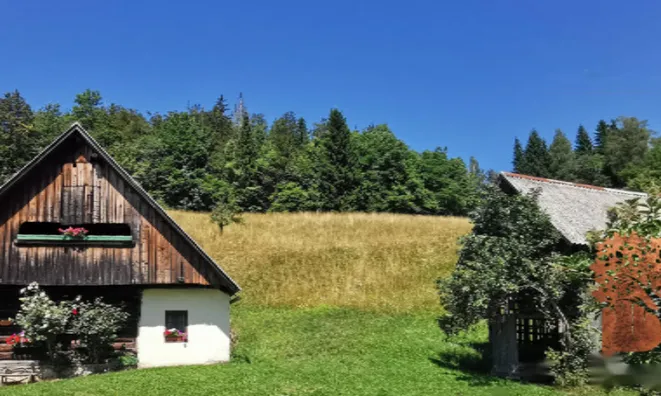 Недвижимость Усадьба Ново Копривник в Божине на Солнечной стороне Альп.: 6