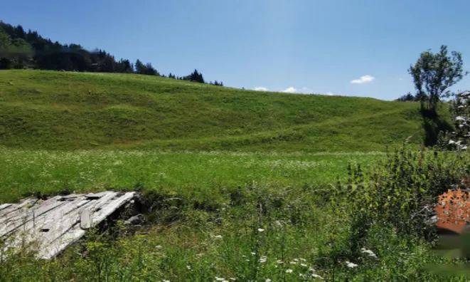 Недвижимость Усадьба Ново Копривник в Божине на Солнечной стороне Альп.: 12