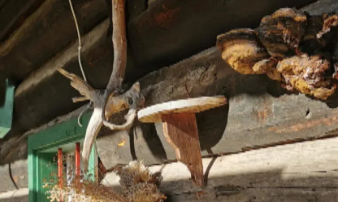 Недвижимость Усадьба Ново Копривник в Божине на Солнечной стороне Альп.: 17