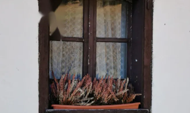 Недвижимость Усадьба Ново Копривник в Божине на Солнечной стороне Альп.: 20