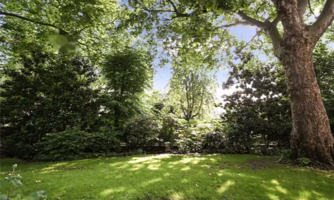 Недвижимость Alexander Square: 9